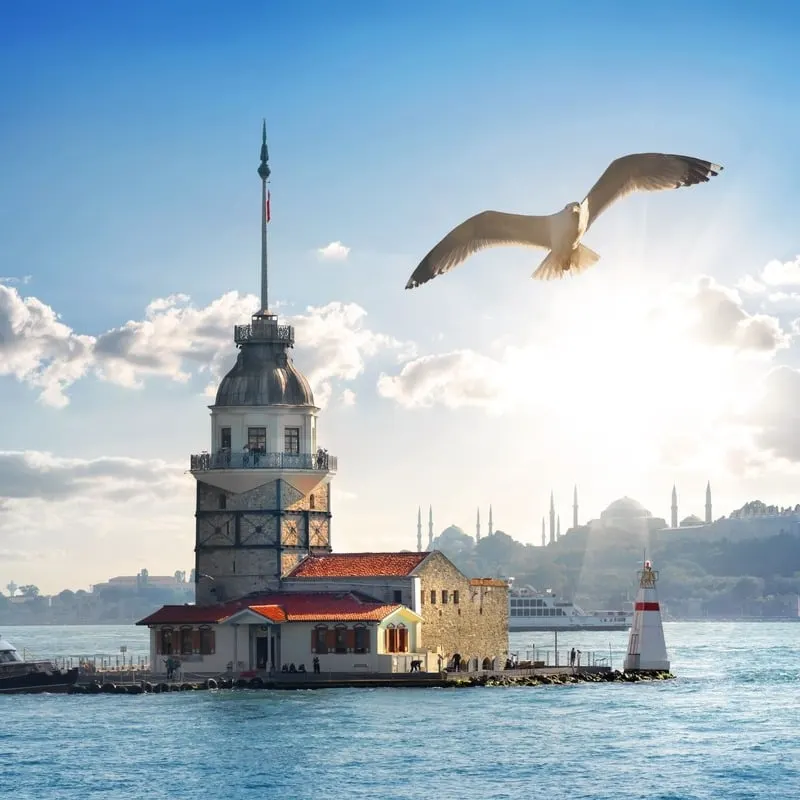 Seagull Flying Over The Maiden Tower In The Middle Of The Bosphorus Strait, With The Historical Peninsula Of Istanbul In The Background, Istanbul, Turkiye, Turkey