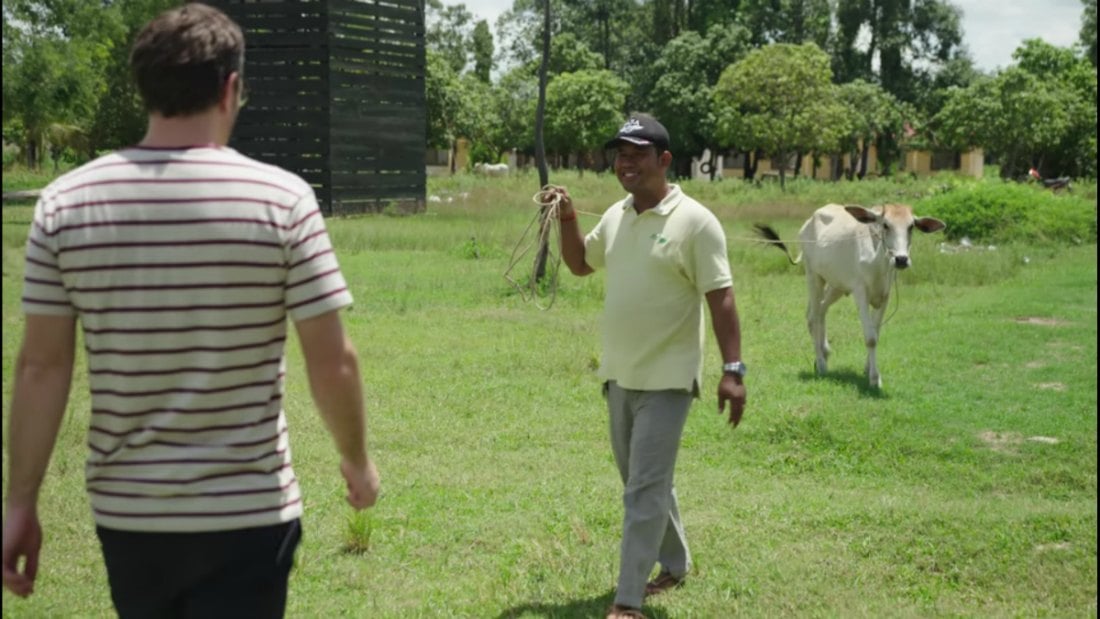 Cambodia Lets Tourists Shoot Cows With Rocket Launchers