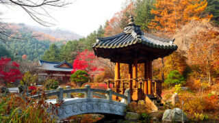 Japanese Temple In A Fall, Autumn Setting, Japan
