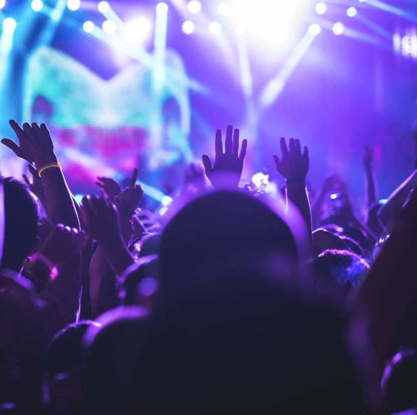 People cheering in a crowd at a concert.