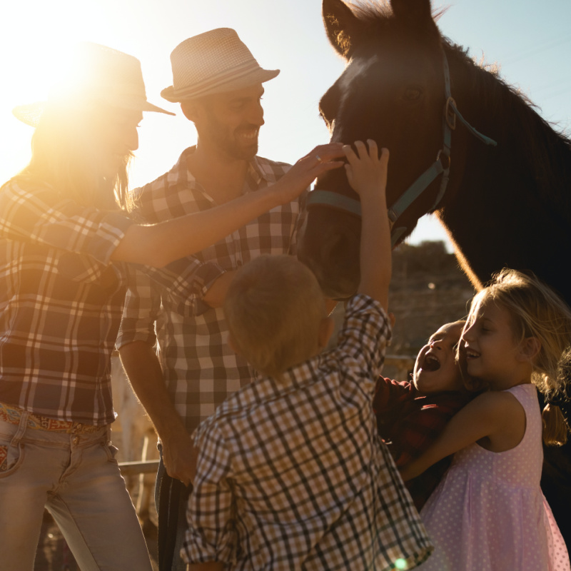 cowboy family petting horse together, travel west
