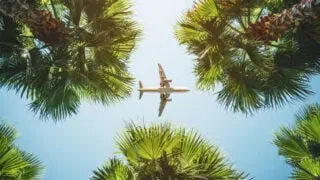 airplane blue sky palm trees travel