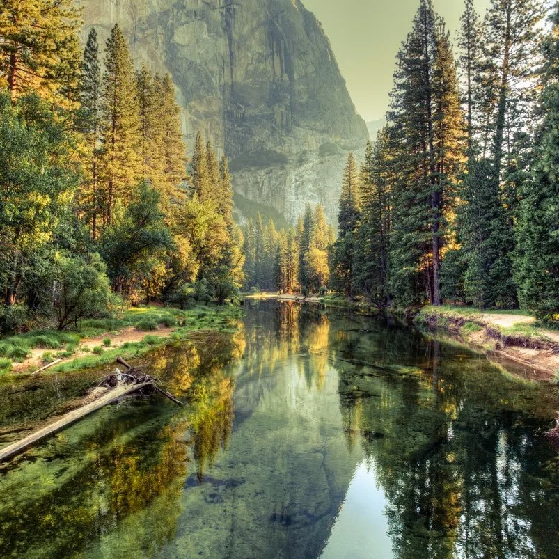 Landscape in the Yosemite Valley. 