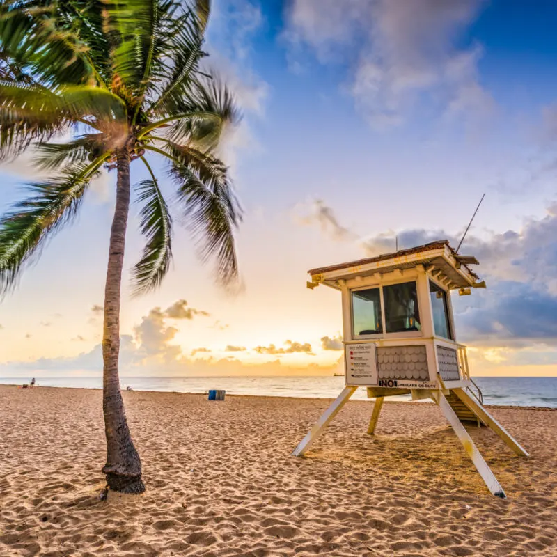 Florida Beach Sunset Sand Palm Tree