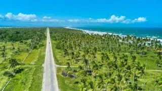 Beautiful Caribbean road with palm trees along the coast of Venezuela, aerial view.