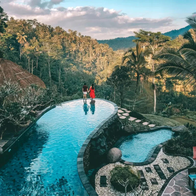 Jungle villa resort luxurious swimming pool Bali , Indonesia
