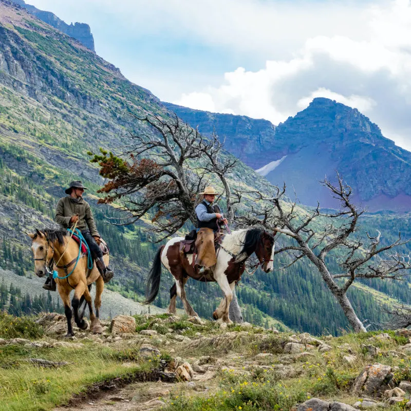 montana cowboys riding horses