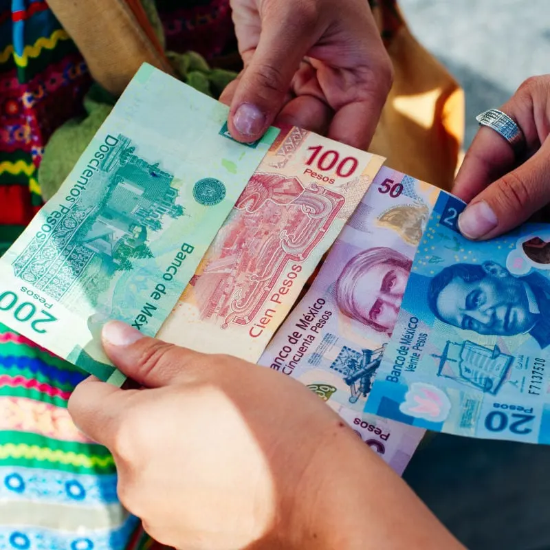 people exchanging pesos