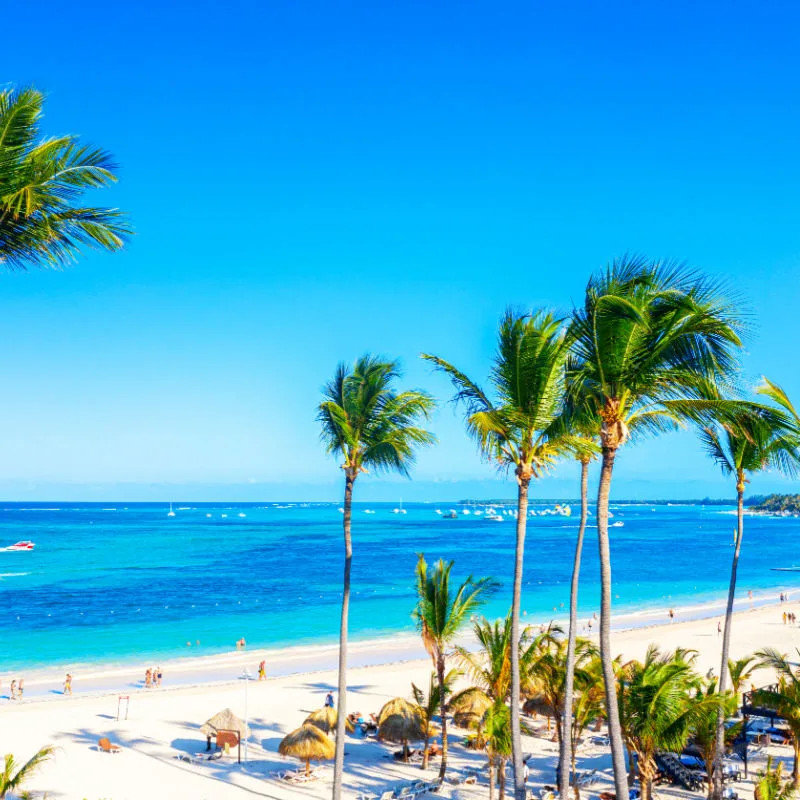 Puerto Rico blue sky white sand palm trees beach
