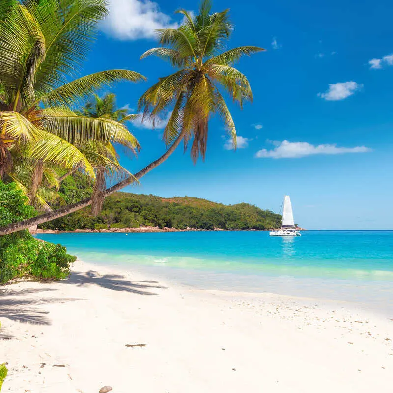 Sandy Beach With Palm Trees And A Sailing Boat In The Distance, Jamaica, Caribbean