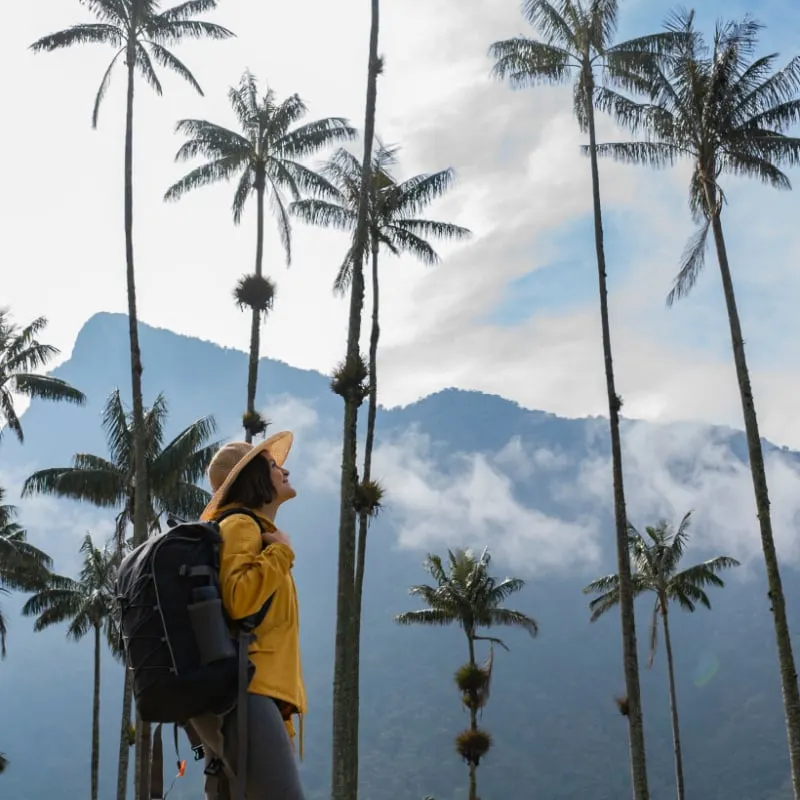 solo female traveler backpacker hiking in mountains with palm trees