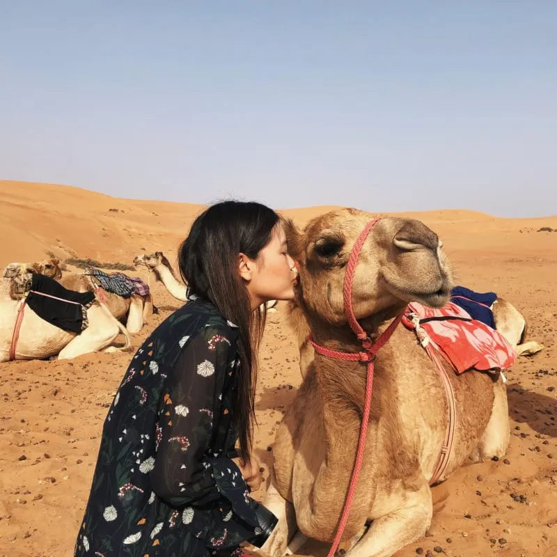 solo female traveler woman tourist kissing camel in Oman desert