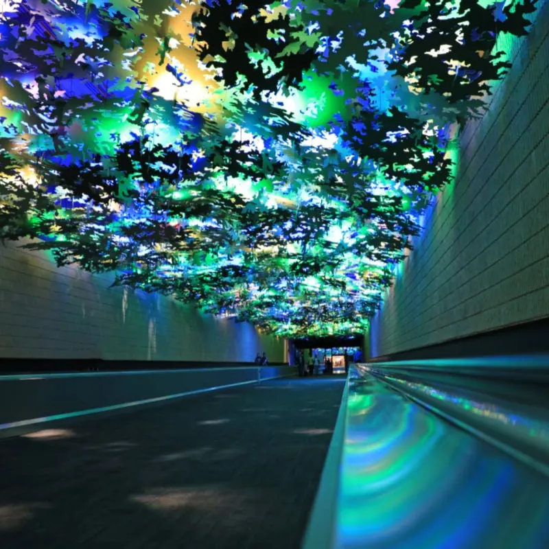 The colorful and fun underground Light Tunnel in the Atlanta airport, connecting Concourse A with Concourse B