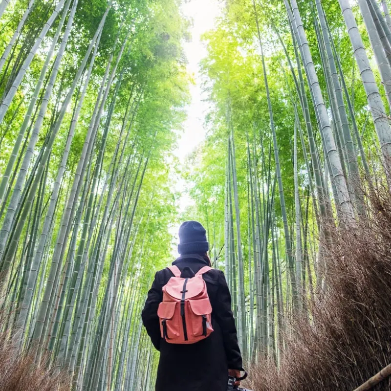 woman traveling in arashiyama bamboo forest japan