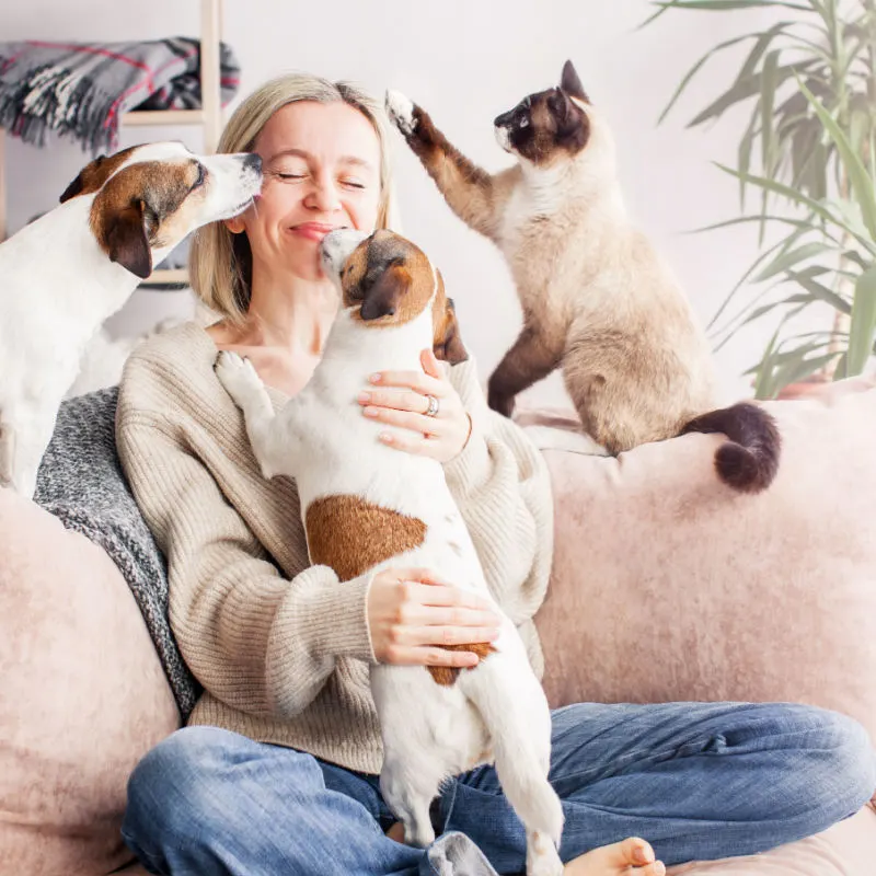 A woman sat on the sofa with two dogs and a cat 