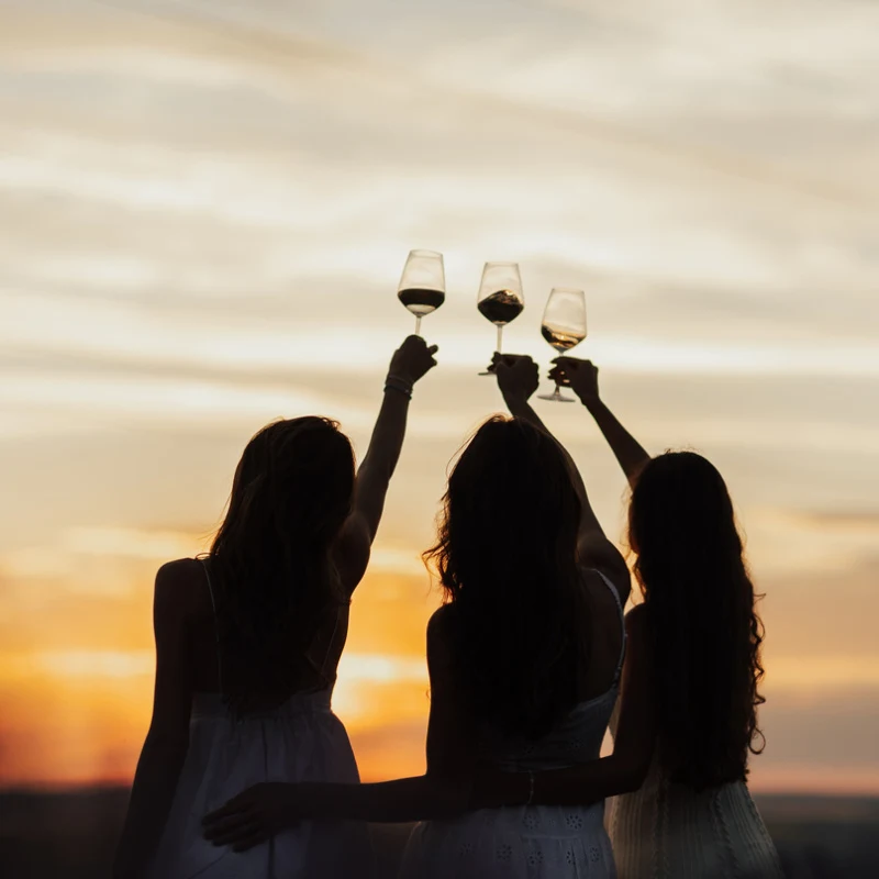 women toasting wine glasses