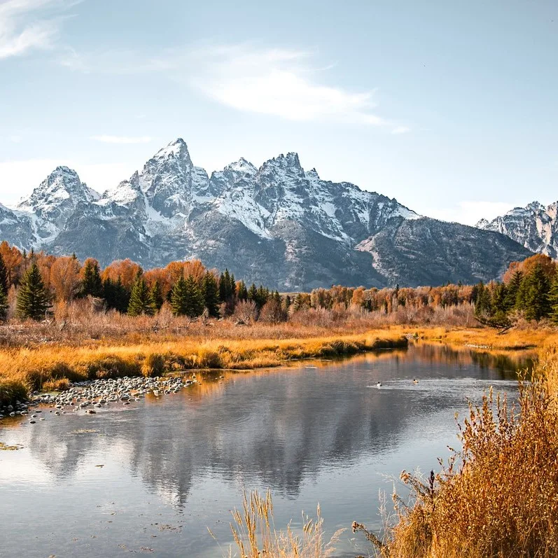 Teton mountain range reflection in the Snake River at Schwabacher's Landing in Grand Teton National Park, Wyoming. Fall scenic nature landscape with evergreen trees and a mountain water reflection.